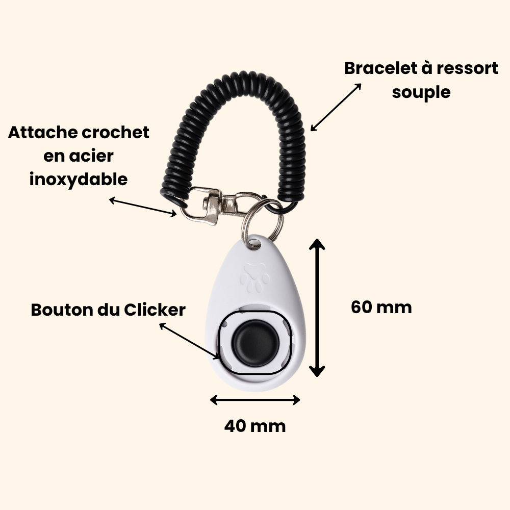 Educational Clicker