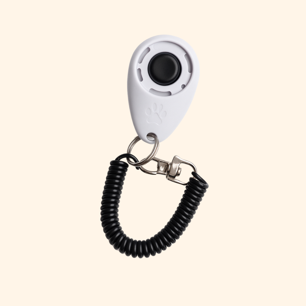 Educational Clicker