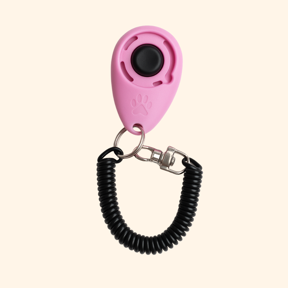 Educational Clicker