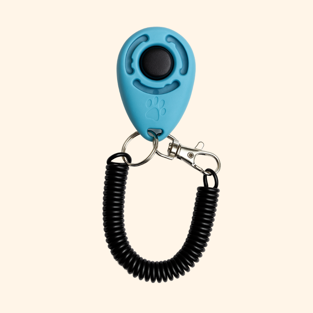 Educational Clicker