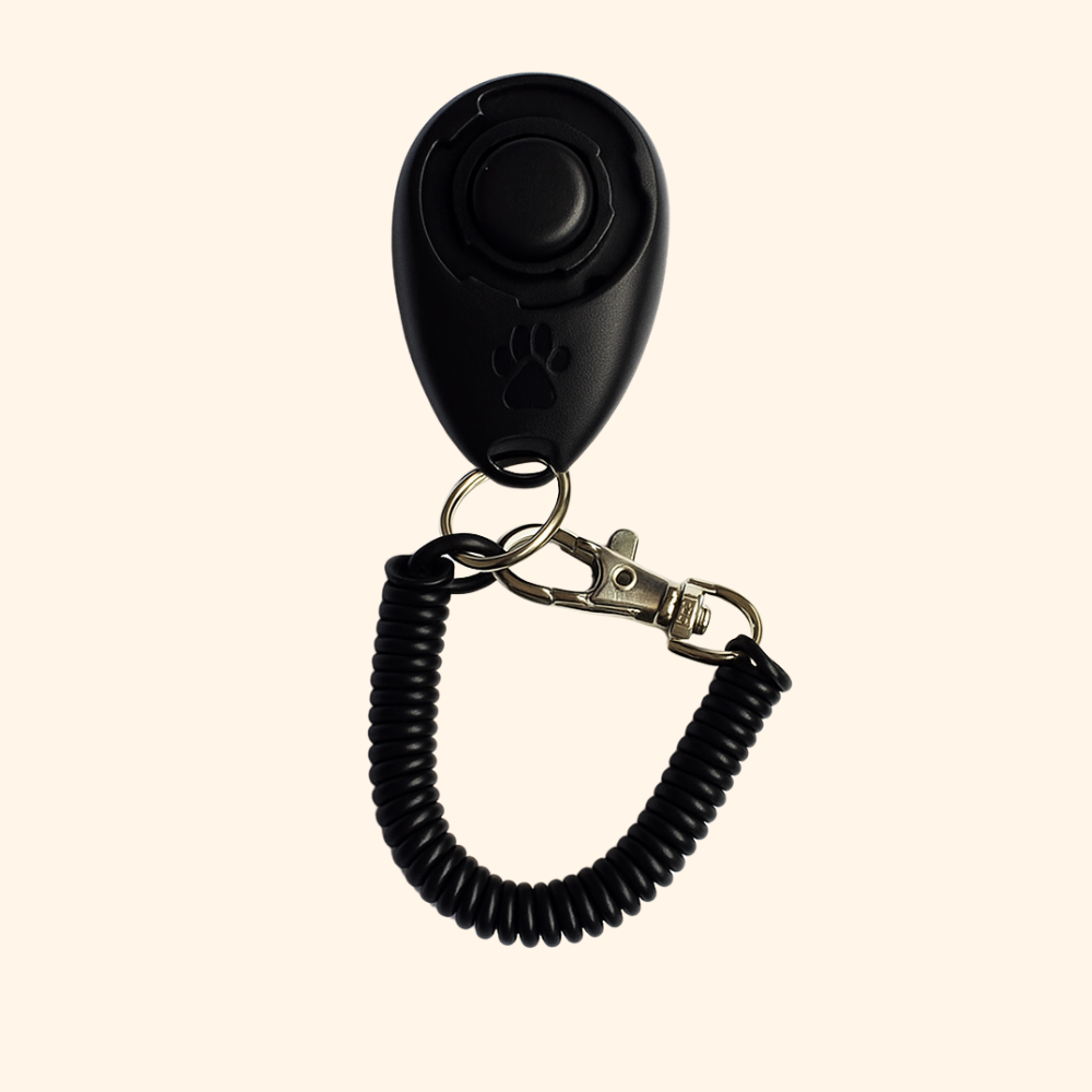Educational Clicker