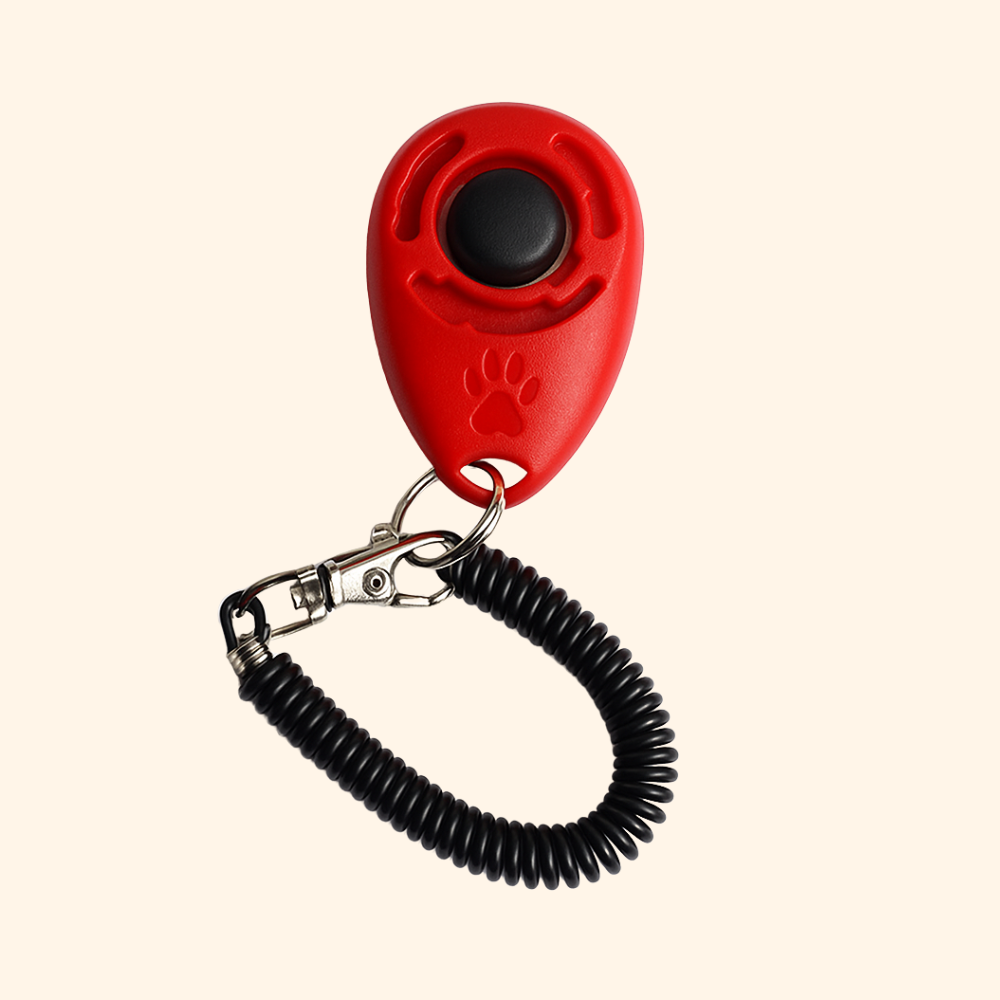 Educational Clicker