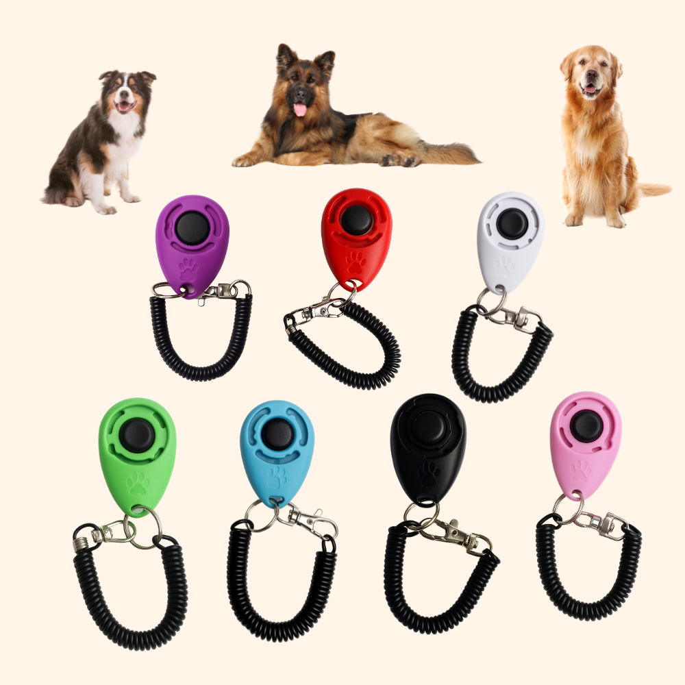 Educational Clicker
