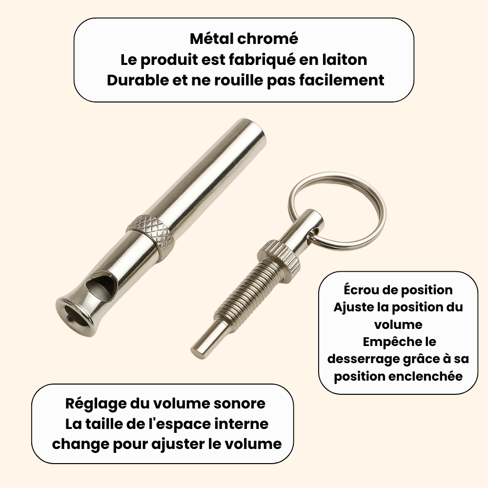 Educational Whistle