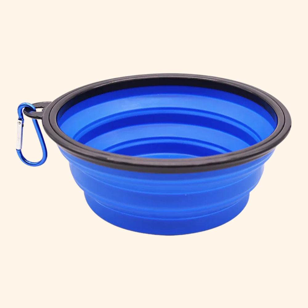 Foldable bowl