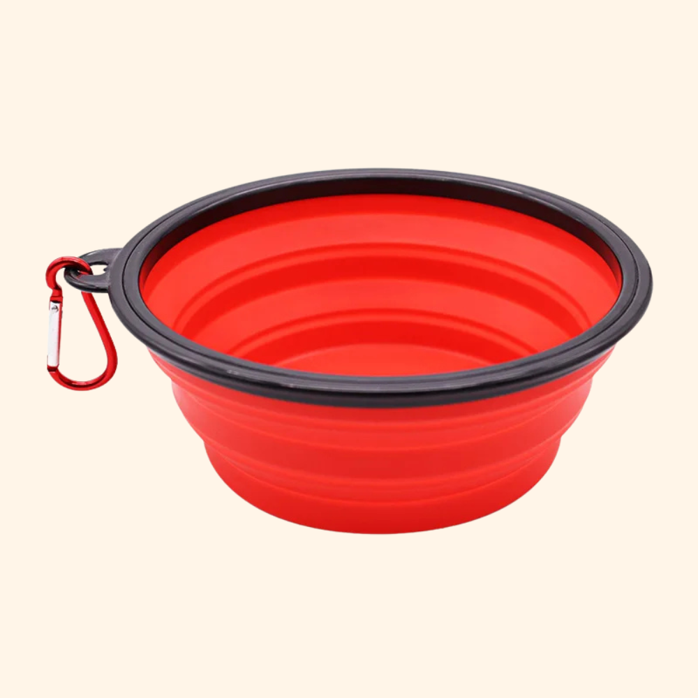 Foldable bowl