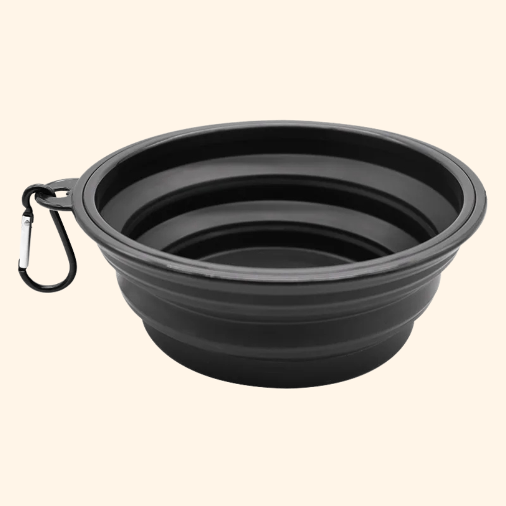Foldable bowl