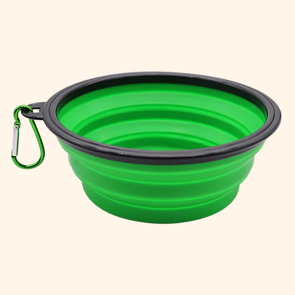 Foldable bowl
