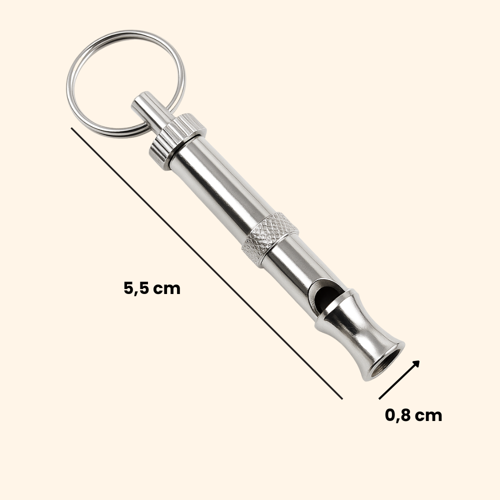Educational Whistle