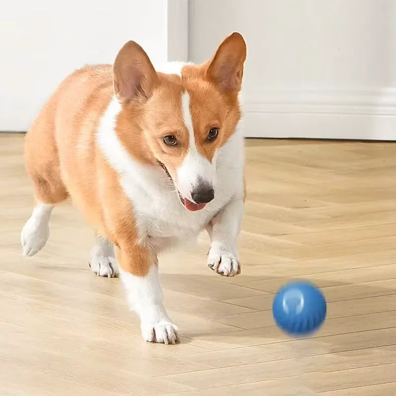 Balle Interactive Rechargeable