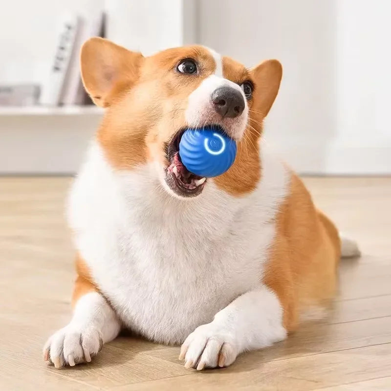 Balle Interactive Rechargeable