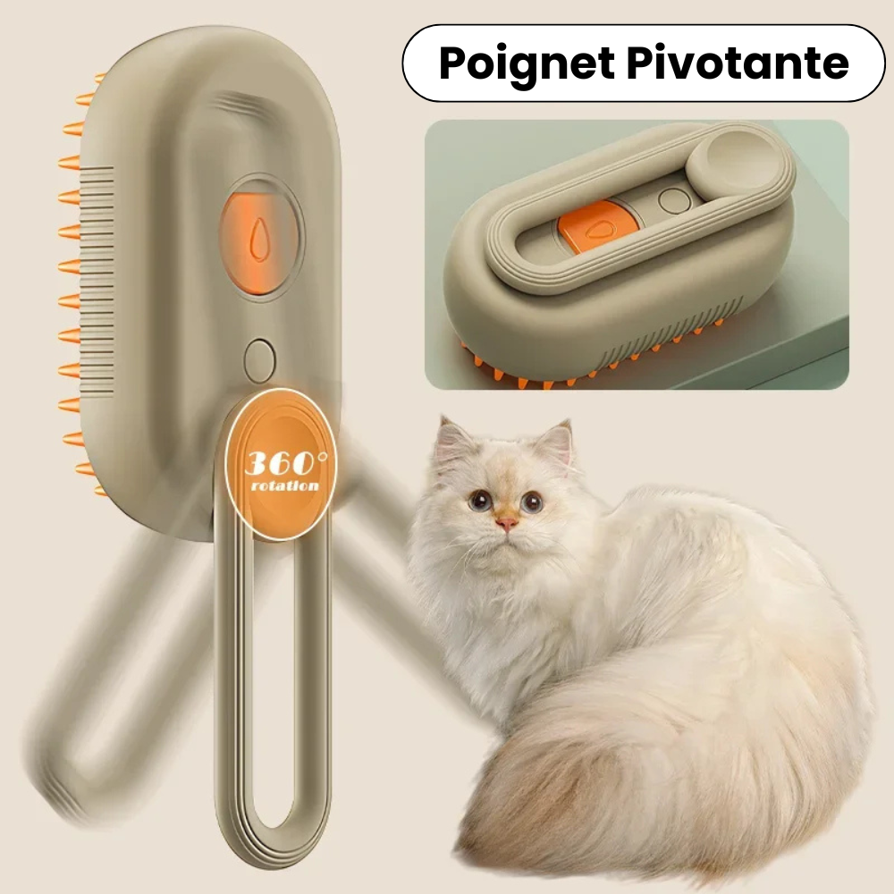 3-in-1 Rechargeable Steam Brush