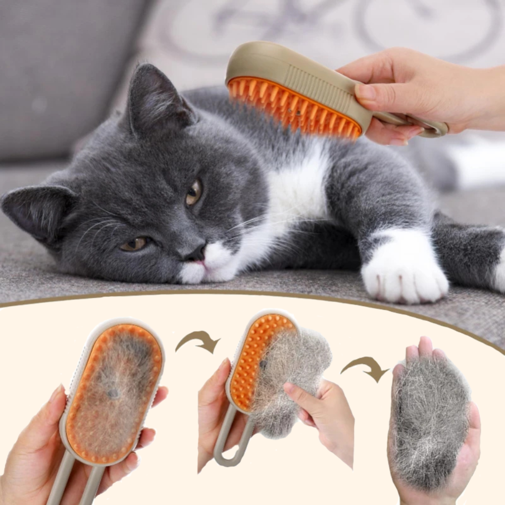 3-in-1 Rechargeable Steam Brush