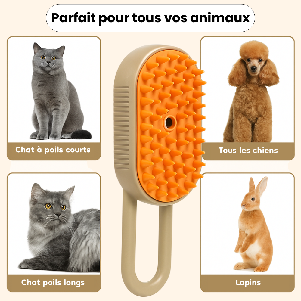 3-in-1 Rechargeable Steam Brush