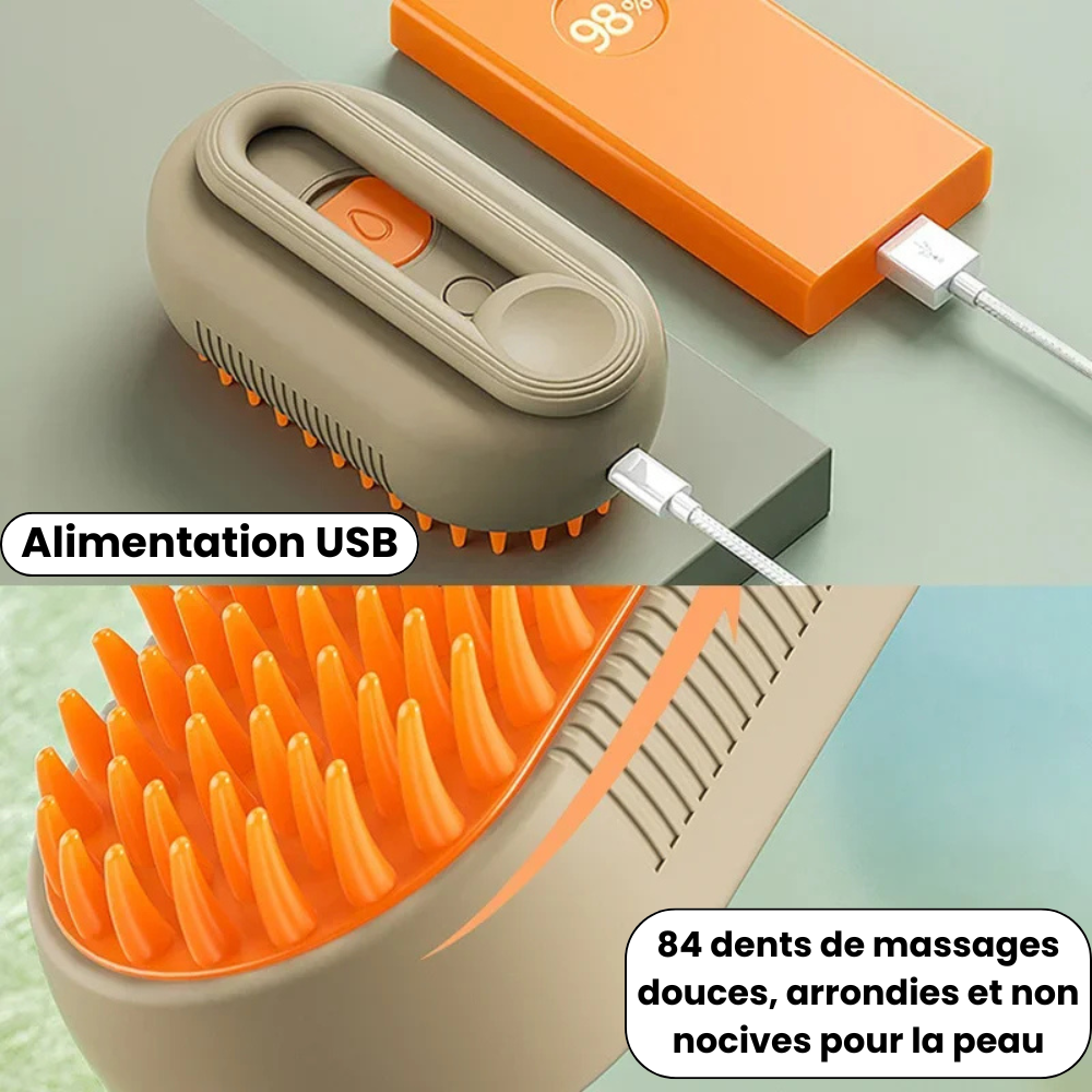 3-in-1 Rechargeable Steam Brush