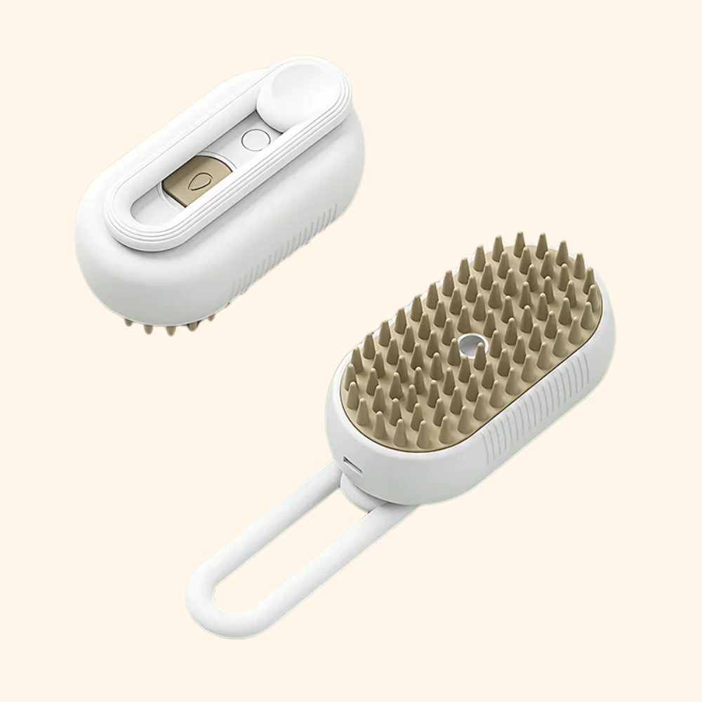 3-in-1 Rechargeable Steam Brush