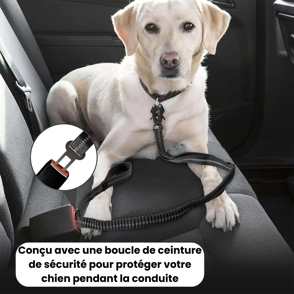 High Absorption Anti-Shock Leash