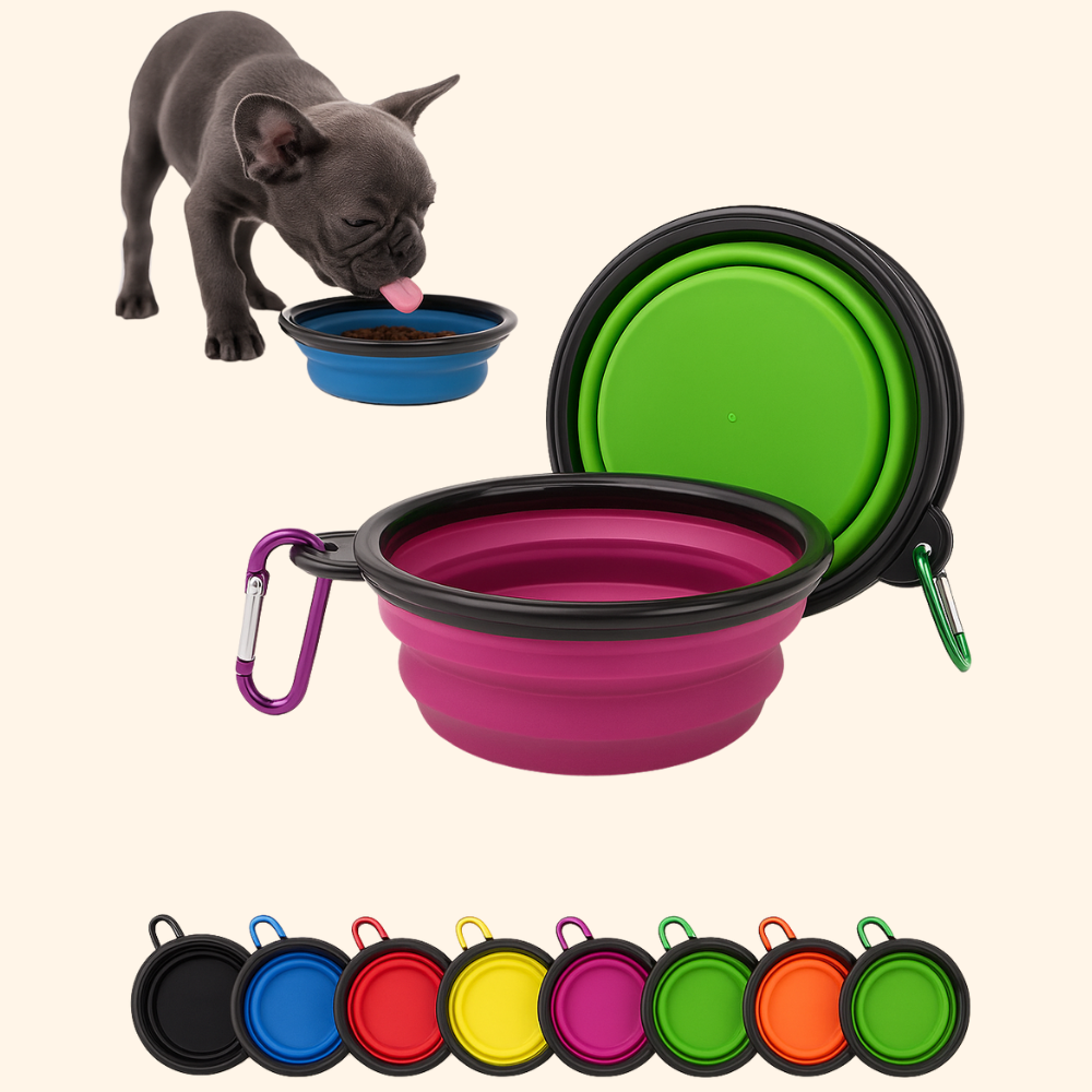 Foldable bowl