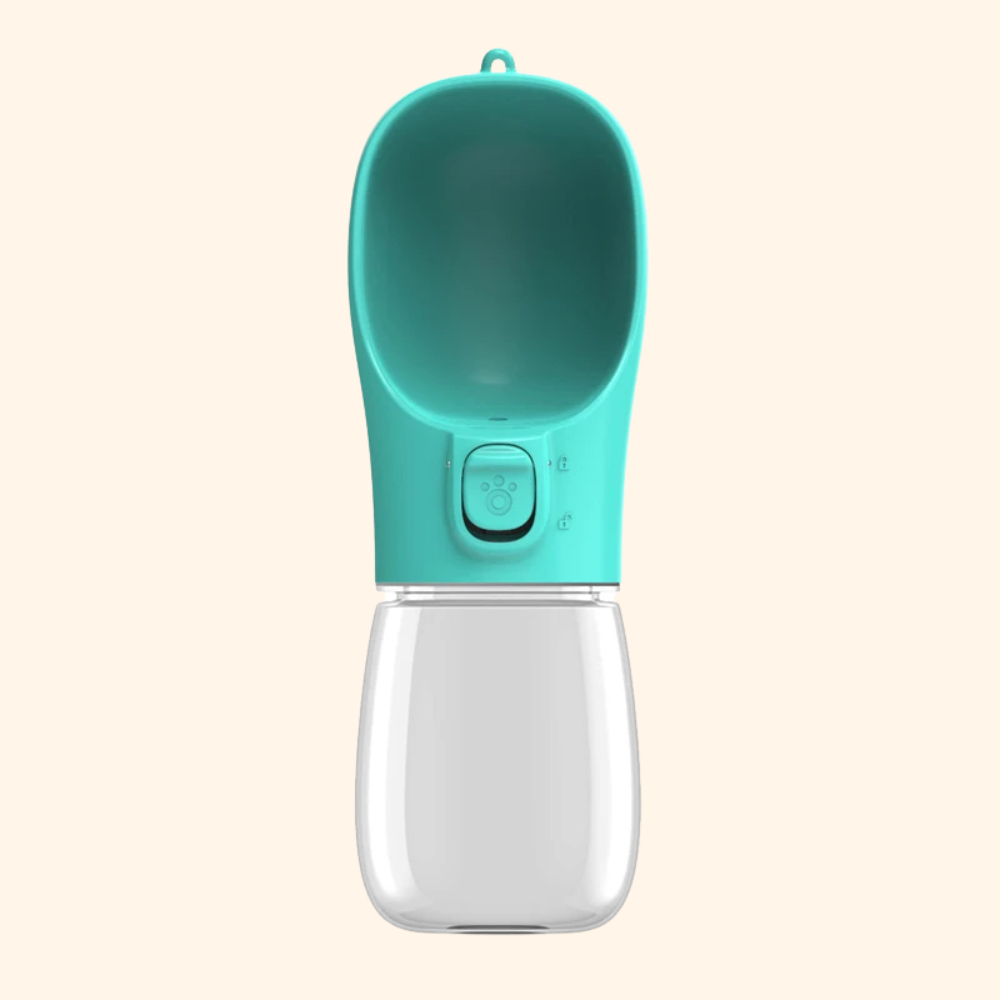 Walking Water Bottle