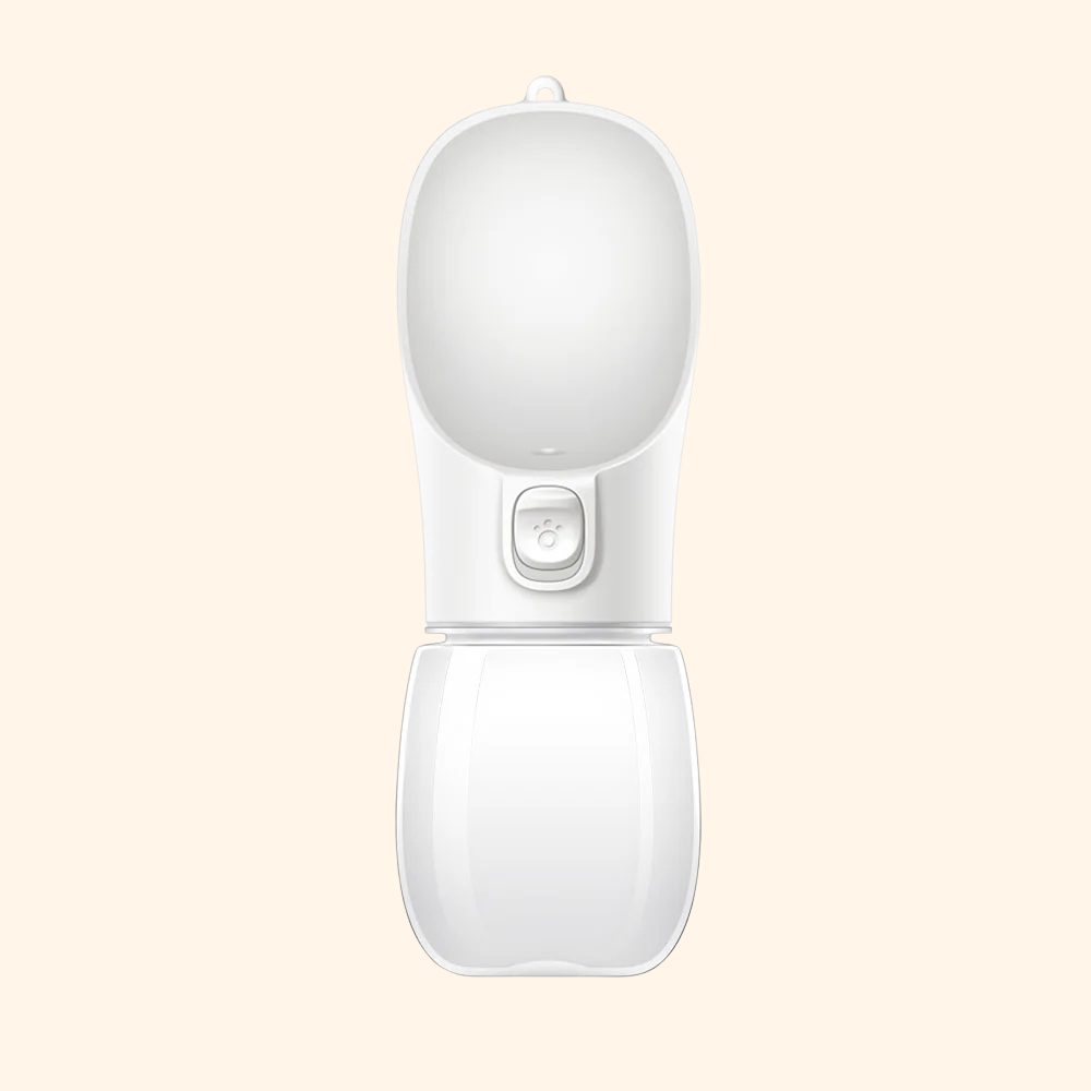 Walking Water Bottle