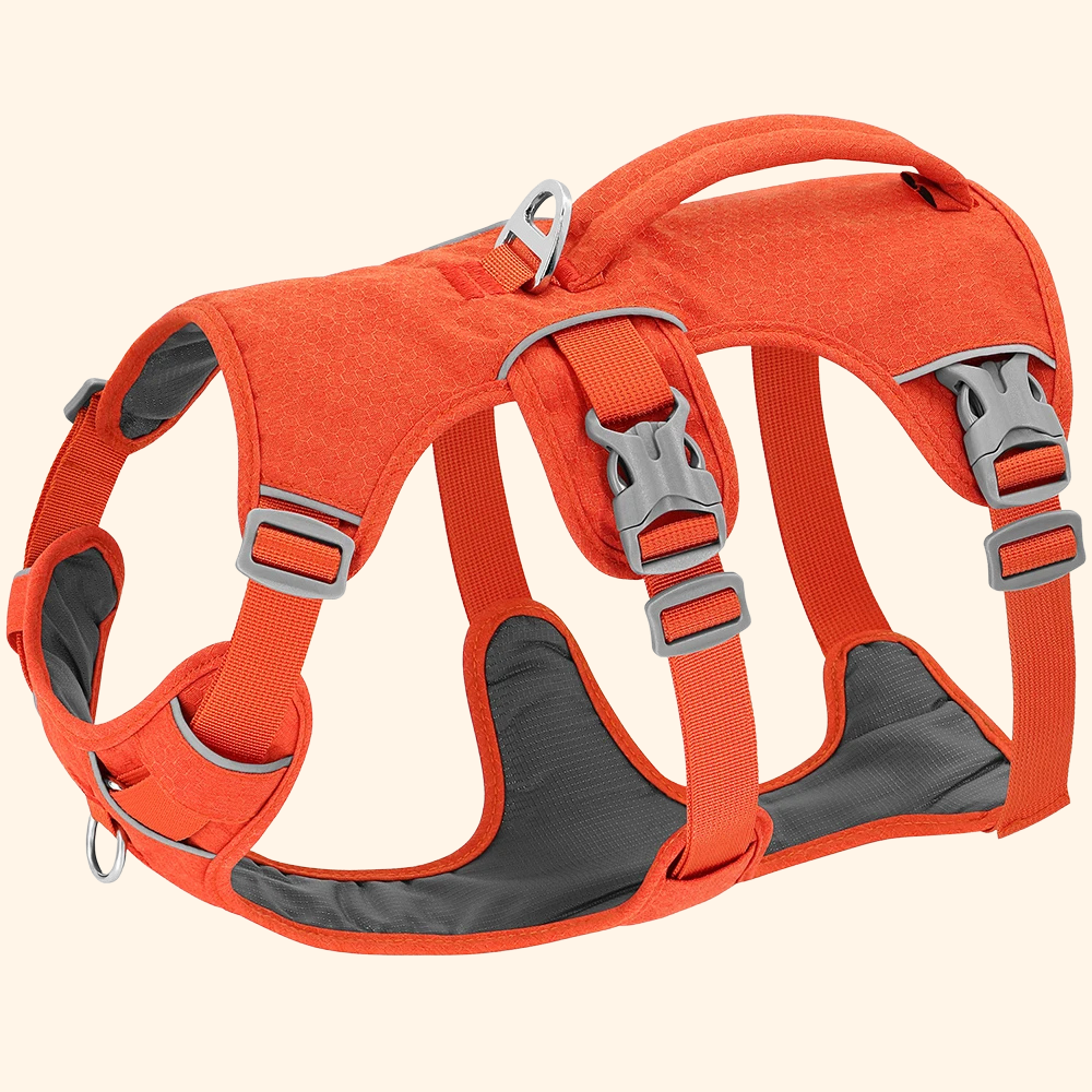 Reflective Harness