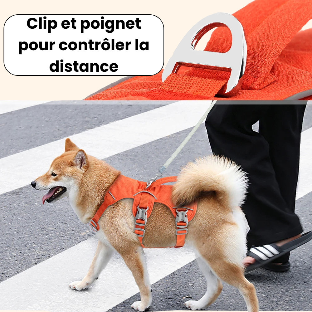 Reflective Harness