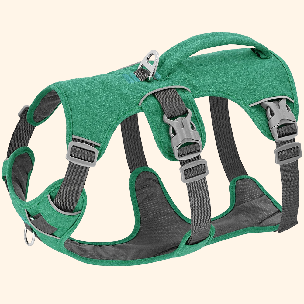 Reflective Harness