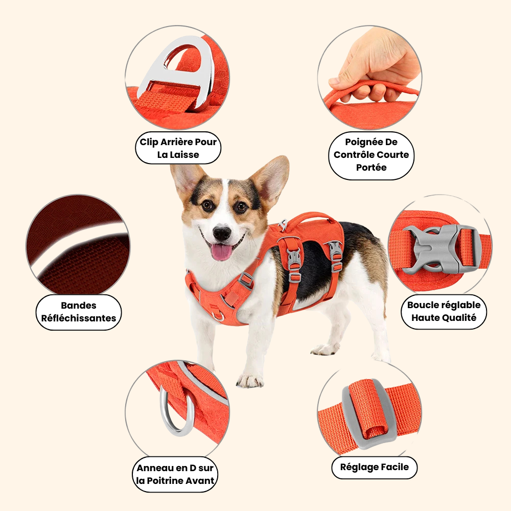 Reflective Harness