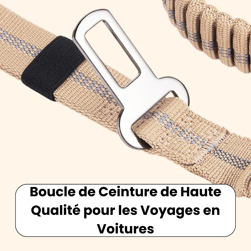High Absorption Anti-Shock Leash