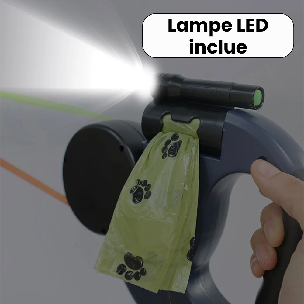 Double Retractable LED Leash
