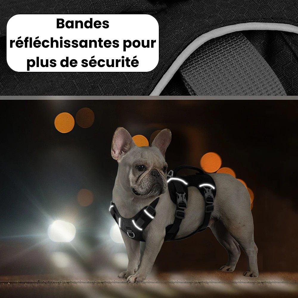 Reflective Harness
