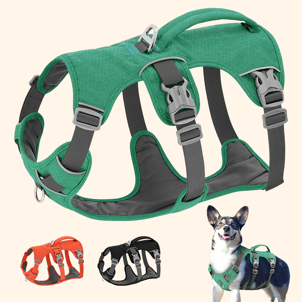 Reflective Harness