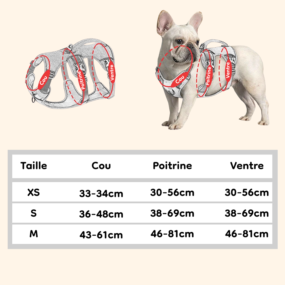 Reflective Harness