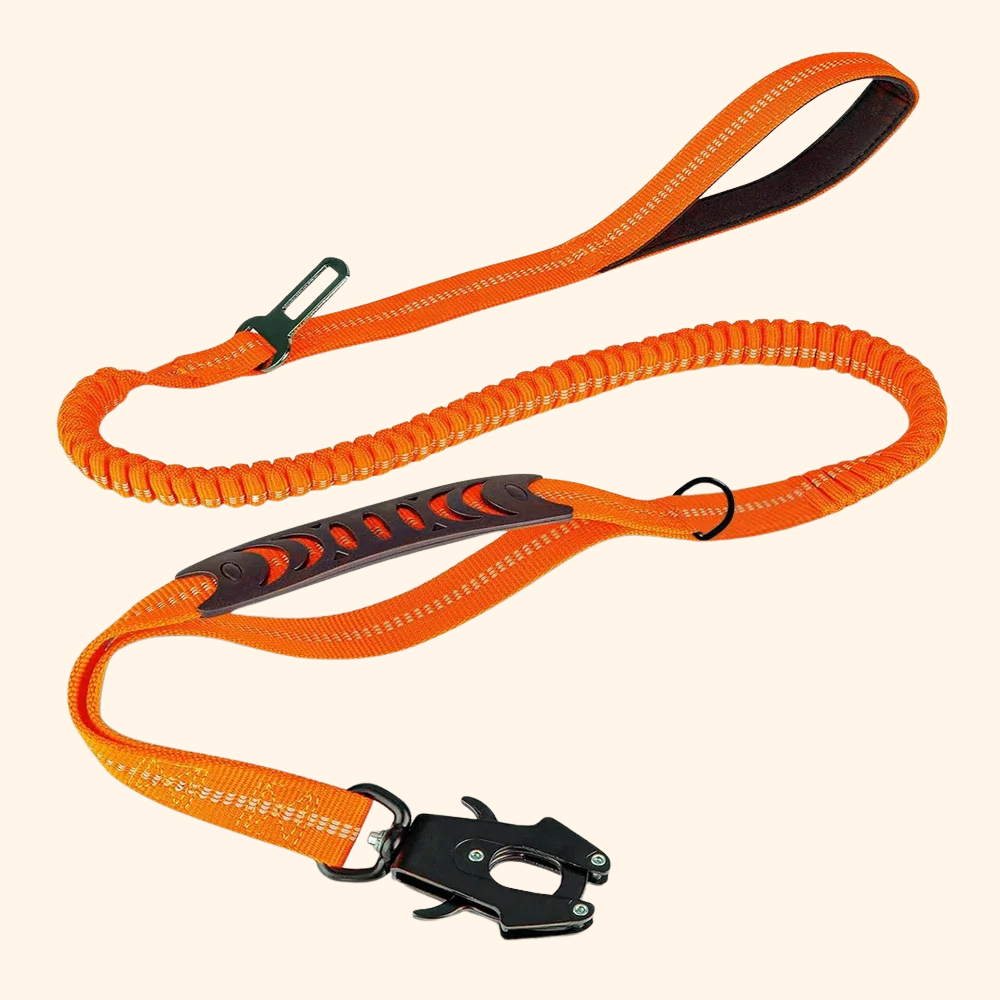 High Absorption Anti-Shock Leash