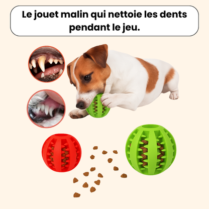 Balle Friandises
