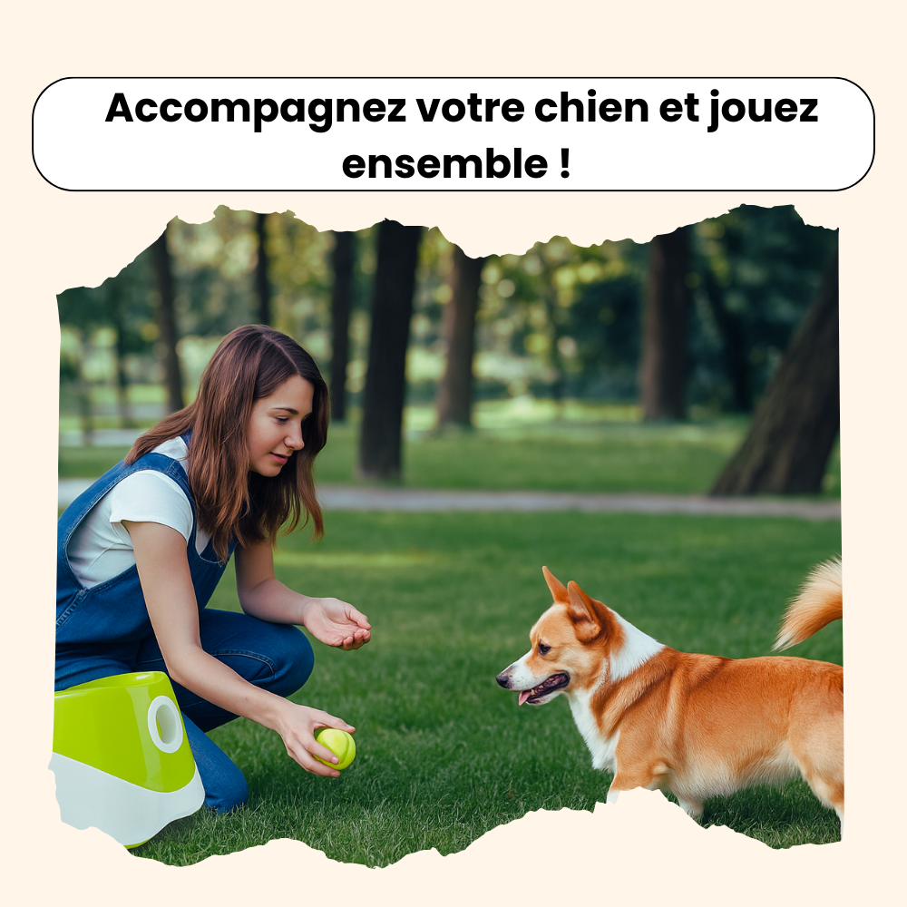 Lanceur de Balles Automatiques