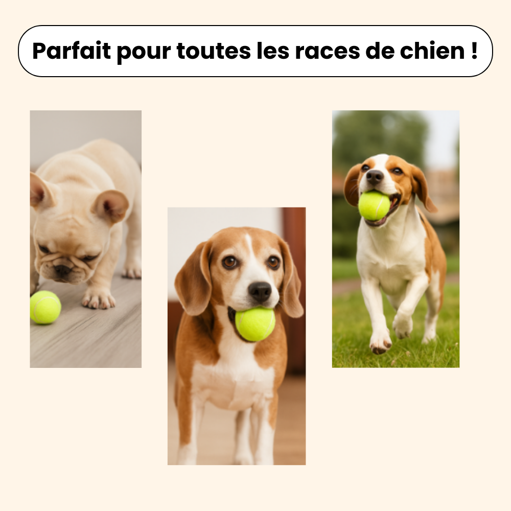Lanceur de Balles Automatiques