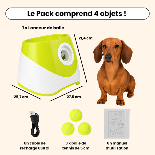Lanceur de Balles Automatiques