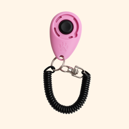 Educational Clicker