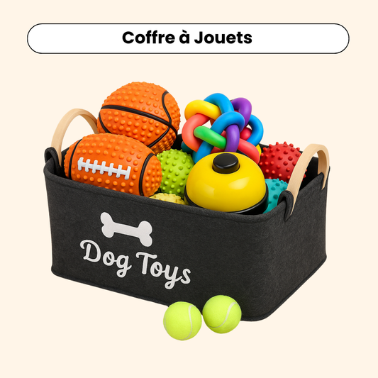 Coffre à Jouets