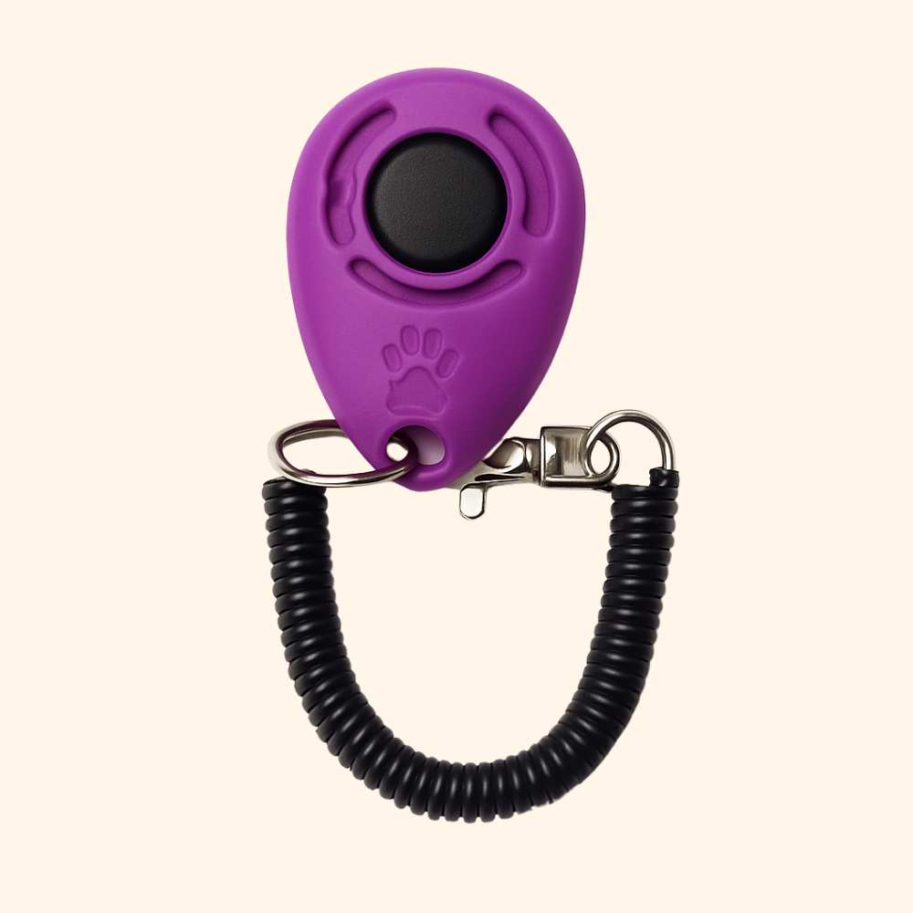 Educational Clicker
