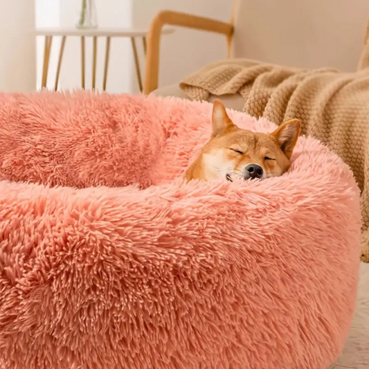 Round Basket