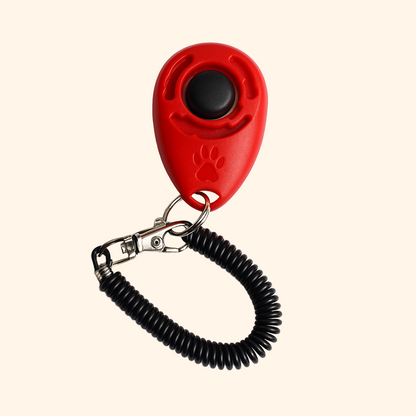 Educational Clicker