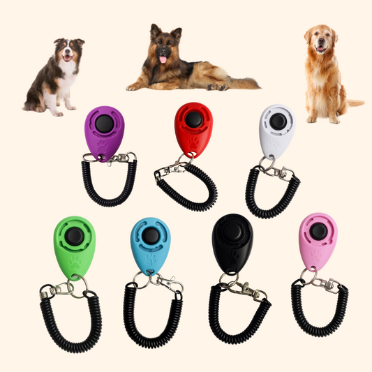 Educational Clicker