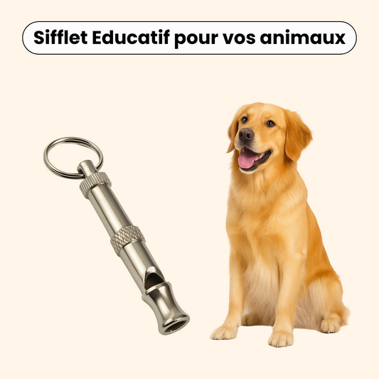 Educational Whistle