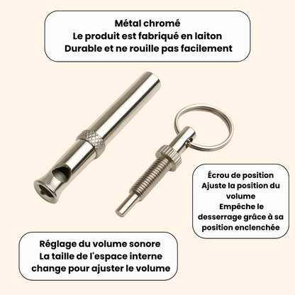Educational Whistle