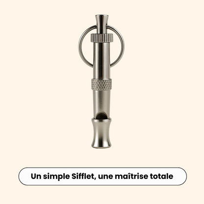 Educational Whistle