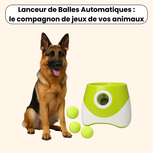 Lanceur de Balles Automatiques