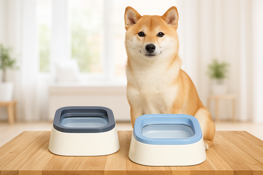 Anti-Splash Bowl