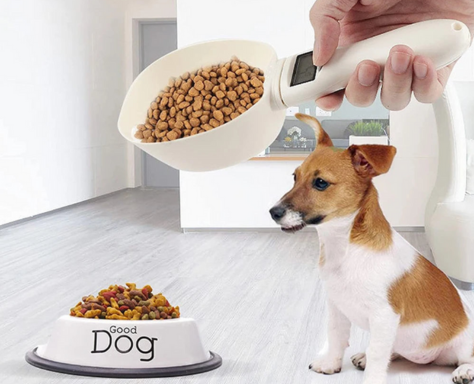 Electronic Dosing Spoon